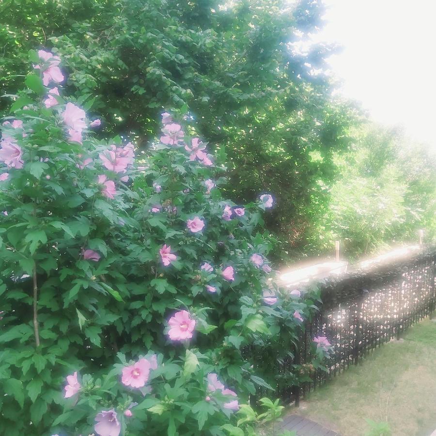 Saint Nicholas Varna Lovely 2 Bedroom Apartment With Sunny Garden ภายนอก รูปภาพ